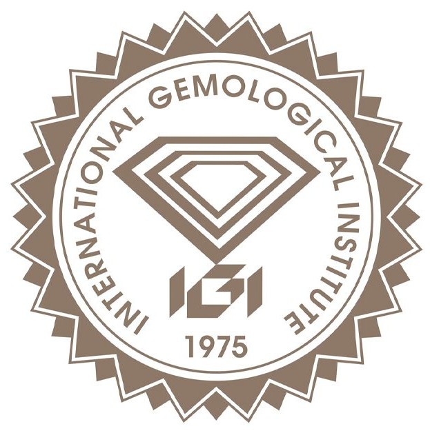IGI Logo